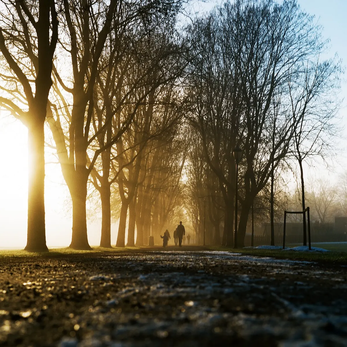 How to Plan a Twilight Walk: A Beginner's Guide to Timing, Terrain and Safety